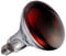 Orvarto Infrared Heat Lamp Bulb, Ruby 250w. for Infra Red Heat Lamps for Poultry, Chicks, Dogs, Puppies, Cats, Kittens, Pigs, Reptiles and Other Animals.