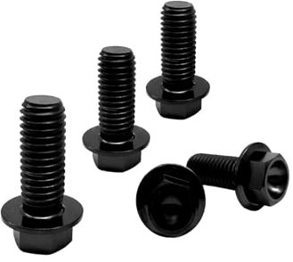 RISON-Titanium Pernos con Reborde de Titanio M10x1.25x25mm, 5 Piezas Tornillo de Cabeza Hexagonal con Brida, Tornillo Allen Accesorios de Fijación Modificación para Moto, Bici