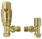 Brushed Brass Angled Thermostatic Radiator Valves - Energy Saving