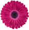 JWH Handgefertigter 3D-Blumen-Überwurf-Kissenbezug, dekorativer Sonnenblumen-Akzent, weicher Samtkissen, runder Kissenbezug für Wohnzimmer, Couch, Bett, Dekoration, 30,5 cm, Karminrose