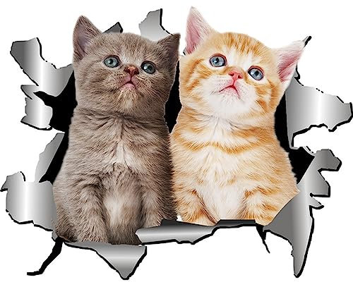 CUHZA 3D Katze Aufkleber, Autoaufkleber, 3D Stereo Katze abnehmbare Auto Aufkleber Anime lustige Dekoration Kätzchen Aufkleber Auto Styling Aufkleber
