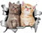 CUHZA 3D Katze Aufkleber, Autoaufkleber, 3D Stereo Katze abnehmbare Auto Aufkleber Anime lustige Dekoration Kätzchen Aufkleber Auto Styling Aufkleber