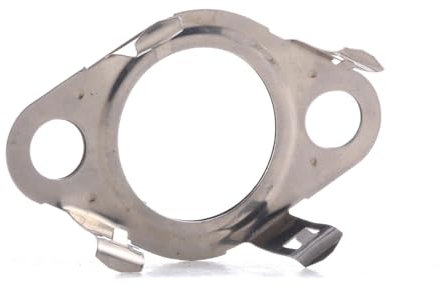 FA1 411-540 Gasket EGR Valve