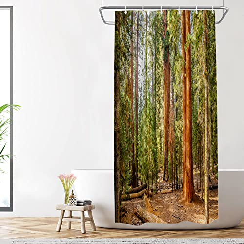 Shrahala Viridian Nature Sequoia Decorative Shower Curtain, Wood Red Forest Jungle Bathroom Décor Polyester Fiber Waterproof with Plastic Rings for Shower Stall Bathtubs 72 x 36 in