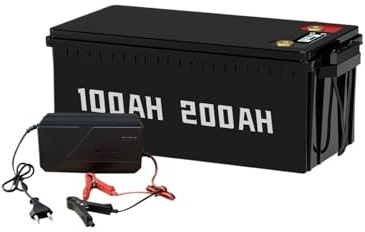 12V 24V 48V 100Ah 200Ah LiFePO4 Battery Built-in BMS Lithium Iron Phosphate for RV Golf Cart Solar Storage Outdoor Camping(24V 100Ah - Charger)