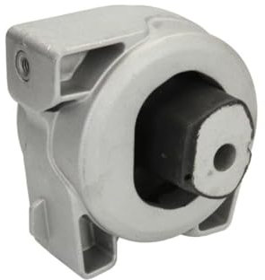 REINHOCH Motorlager RH12-3002 Links, Hinten