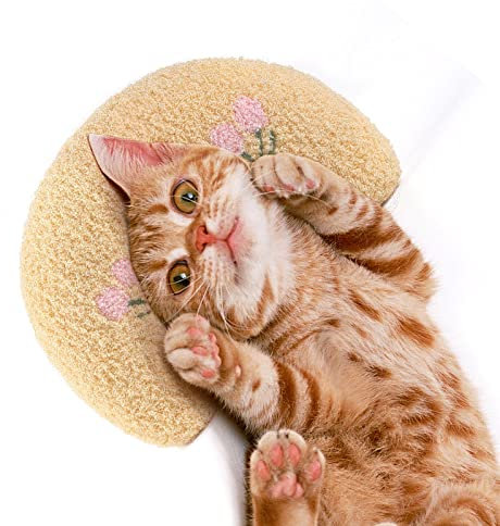 Namsan Katzenkissen für Katzenbett Weich Bequem Plüschkissen Donut Katzenspielzeug