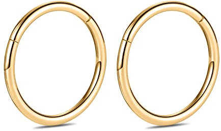hengkaixuan 8G 2Pcs G23 Titan Nasenring Higned Segment Clicker Ring Nahtloser Nasenring Septum Schmuck Conch Hoop Knorpel Helix Tragus Creolen Ohrringe Hoop Sleeper Piercing Schmuck 12mm Gold