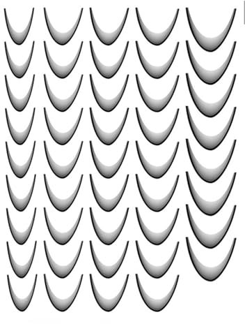 scyca Autocollants à pointe française,autocollants à ongles à pointe française | Décoration d'ongles Crescent French Tips - Feuille d'ongles pour femmes, autocollants du bout des doigts, autocollants