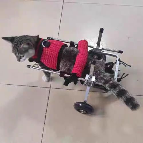 EXCLURA Hunderollstuhl Rollstuhl für Gehbehinderte Hunde mit Hinterbeinen, Verbesserter Mops-Rollstuhl für Besonders Kleine Haustiere, Mobilitätshilfe für Kätzchen mit Beinstütze(Size L)