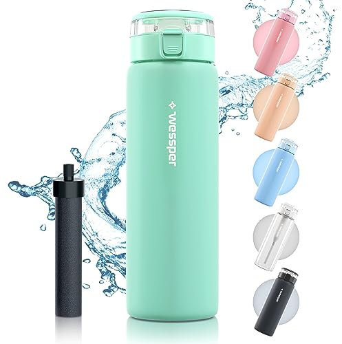 Wessper Gourde filtrante en verre borosilicate - 680 ml - Sans BPA - Avec filtre pour boissons gazeuses - Bouteille filtrante d'extérieur - Filtre à charbon actif - Paille - Menthe