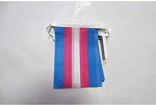 AZ FLAG Ghirlanda 6 Metri 20 Bandiere Arcobaleno Transgender 21x15cm, Bandiera Trangender – Rainbow Flag 15 x 21 cm - Festone Bandierine