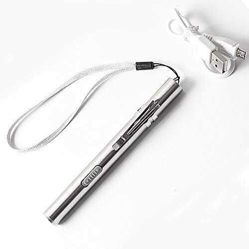 2 Pieza Linterna de Luz Blanca usb Mini Linterna Recargable Linterna Médica de Acero Inoxidable Reutilizable