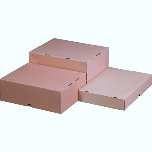 karton-billiger | 20x Stülpdeckelkarton Stülpkarton Versandkarton Faltschachtel Deckel+Boden, Format DIN A4,305x215x50mm