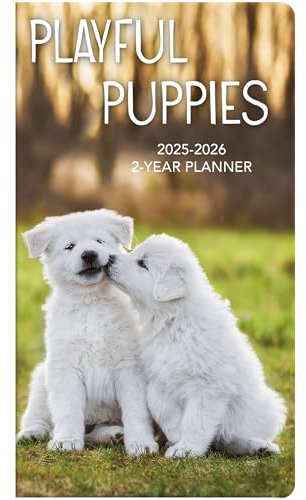 Turner, Foto-Planer mit verspielten Welpen, 2025, 2 Jahre, Taschenplaner – Pf (25998961008)