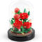 Roses Building Kit with LED Lighting Roses Flower Building Set with Cover Botanical Building Blocks Birthday Mini Bricks Valentines Day Gift for Adult Girlfriend Wife (Red Roses)