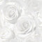 Madison Glitter White Wallpaper - Gold Floral Rose Flower - Textured Modern Contemporary Feature Wall
