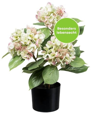 CREATIV green Hortensien Kunstblumen im Topf in grün-rosa 53cm I künstliche Hortensien mit naturgetreuen Blüten I Pflegeleichte Kunstpflanze im Kunststoff-Topf 12,5x11,5cm I stilvolle Kunstpflanzen