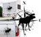 Rakelfix Autocollant nordique pour camping-car, voiture, motif boussole, élan et rose des vents