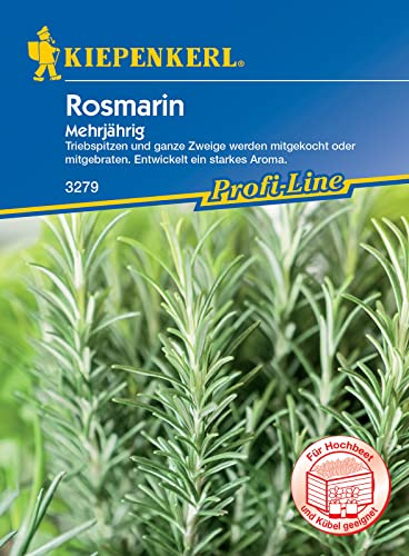 Kiepenkerl 3279 Rosmarin (mehrjährig), sehr aromatisches Würzkraut, wirkt durchblutungsfördernd und krampflösend