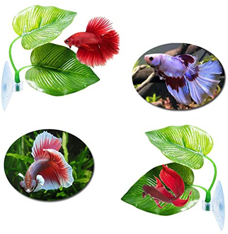 SHULLIN 2 Stück Betta Bed Bett Blatt Hängematte Kissen Betta Hängematte künstliche Aquarium Pflanzen Deko Simulationsblätter mit Saugnapf Künstliche Pflanzen Blatt für Betta Fisch Ruheplatz