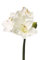 artplants.de Künstliche Amaryllis, weiß, 55cm - Seidenblume - Textilblume