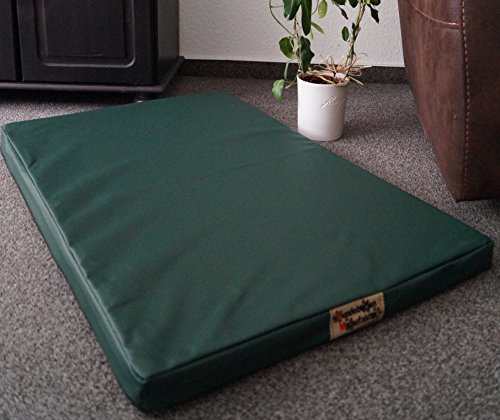 Hundebettenmanufaktur Hundematratze Hundebett beidseitig Kunstleder Schaumstoff 5 cm Verschiedene Größen und Farben wählbar (120 cm X 80 cm, grün)