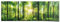 REINDERS Poster, Sommerwald, Schlafzimmer, Bilder, Wanddeko, Room Decor, 170 gr. glänzend Bilderdruckpapier, Grün, 53x158cm