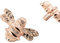 Brass bee 2 x Solid Drawer Knob Handles | Drawer Handle | Bee Cabinet knob | Cupboards, Doors, Cabinets & Drawers for Kitchen, Wardrobe, Chest, Drawer Pull (Rose Gold)