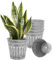 vensovo Galvanised Metal Plant Pots for Indoor Outdoor Use – 6Pcs Rustic Flower Planters with Drainage Hole & Plug, Silver Herb Pots, Small Garden Buckets for Succulents & Flowers, 7 Inch