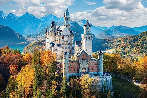 Klassische Puzzles 1000 Teile Schloss Neuschwanstein Unter Dem Wunderschönen Himmel 75 * 50Cm