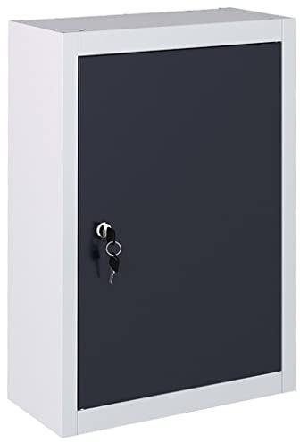 Genérico Armario de Herramientas de Pared Industrial Metal Gris y Negro Bricolaje,Accesorios de Bricolaje,Organización y Almacenamiento de Herramientas,Armarios para Herramientas Gris 5,65kg