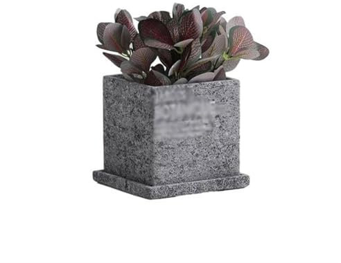 Moderna maceta cuadrada de cemento con bandeja para suculentas, maceta grande gris para plantación personalizada