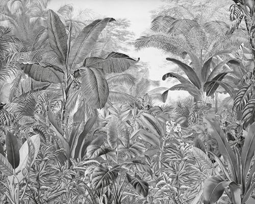 Komar Roraima IAX7-0003 Papier peint photo non tissé Motif jungle, forêt tropicale, palmiers, 350 x 280 cm