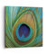Bilder auf Leinwand 40x40cm Leinwandbild Pfauen Federn Regenbogen Klein Wanddeko Bild Schlafzimmer Küche Deko Wandbilder Dekoration Wohnzimmer Wall Decor Canvas Wand Kunstdruck Art AC40x40-4385