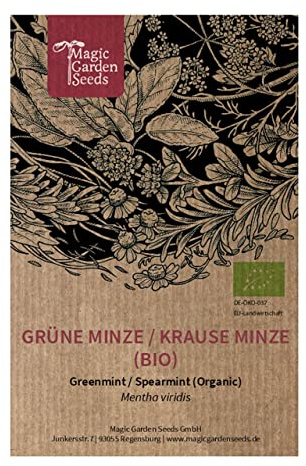 Grüne Minze/Krause Minze (Mentha viridis) Bio - ca. 1000 Samen