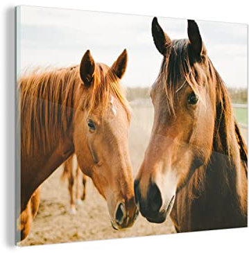 MuchoWow Glasbild Glasfoto Wandbild Bilder Deko 40x30 cm Pferd - Strand - Tiere
