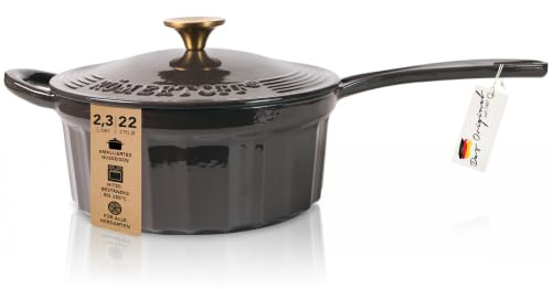 Römertopf Stielkasserolle Gusseisen 22 cm 2,3 L mit Deckel, Anthrazit | Für Saucen, Risotto und Fondue, alle Herdarten inklusive Induktion, ofenfest bis 250 °C, PFAS-frei