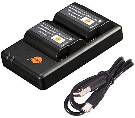 DSTE 2PCS DMW-BLK22 (2350mAh/7.2V) Li-ion Battery Charger Set Compatible with Panasonic Lumix S5 DC-S5K DC-S5GK Camera