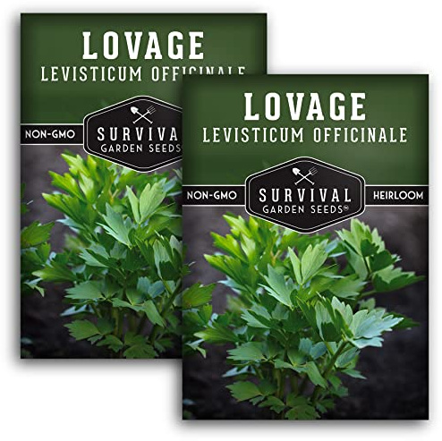 Survival Garden Seeds - Lovage Seed for Planting - 2 Packs with Instructions to Plant and Grow Perennial Levisticum Officinale Culinary Herb in Your Home Vegetable Garden - Non-GMO Heirloom Variety