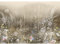 Runa Art Fototapete Blumenwiese Modern Vlies Wohnzimmer Schlafzimmer - Made in Germany - 308 x 220 cm Beige 9562010a
