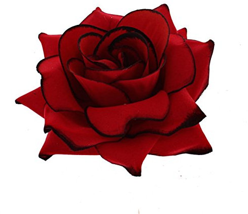 Zac's Alter Ego Very Large Red Rose on Concord Clip with Black Edging