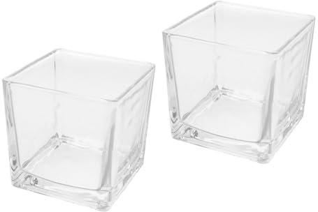 Zerodeko 2 Stück Wohnmobil-Ornamente Kleine Hydroponische Vase Quadratische Vasen Als Herzstück Tischblumenvasen Quadratische Würfelblütenvasen Klare Blumenvasen Klare Vase Transparent Glas