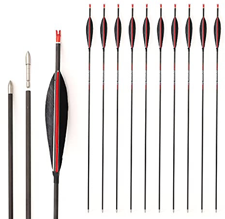 ACCMOS Spine 1000 Bogenpfeile ID 4,2 mm 29 Zoll Reinem Kohlenstoff Pfeil, Federn in Shuttle Form, für Erwachsene Jugend Compoundbogen Recurvebogen Bogensport Jagd & Praxis 12St (Spine 1000, 29 inch)