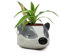 Harry Potter Pot de Fleurs Poufsouffle Harry Potter