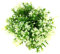 VOCOSTE 1pz Artificiale Acquario Erba Palla, Simulazione Pianta Palla per Pesci Acquario Paesaggio Piante Decorazione, 3,74x3,74 Verde Bianco