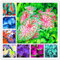 Bloom Green Co. 150 Stück Multiple Color Thailand Caladium Bonsai Perennial Regenbogen-Blumen-Garten-Topfpflanze Caladium DIY Hausgarten Pflanze: Misch