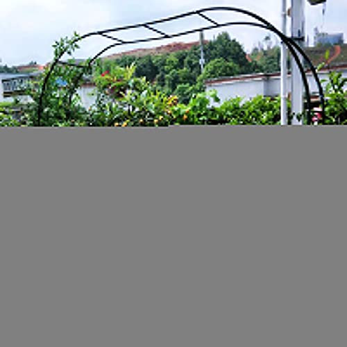 Daoyuan Arco Rose Giardino in Metallo,Traliccio Ad Arco da Giardino,per Piante Rampicanti,Pergolati per Gazebo per Interni/Esterni,Resistente alle Intemperie,Arco A Traliccio,Giardino Prato Matrimoni