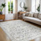 BEIMO Tapis de Salon 120x170CM Orienta Vintage Tapis de Chambre Adulte Tapis Dessin Antidérapant Tapis GrisClair