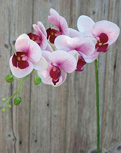 artplants.de Ramo Artificiale di Orchidea phalaenopsis Ophelia, Rosa-Fucsia, 80cm - Orchidea Finta - Ramo Decorativo